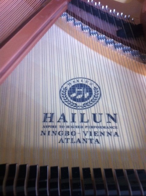 Hailun hinge