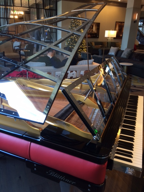 Bluthner modern art case piano