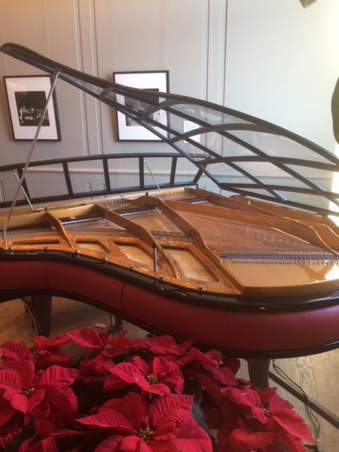 Bluthner modern art case piano